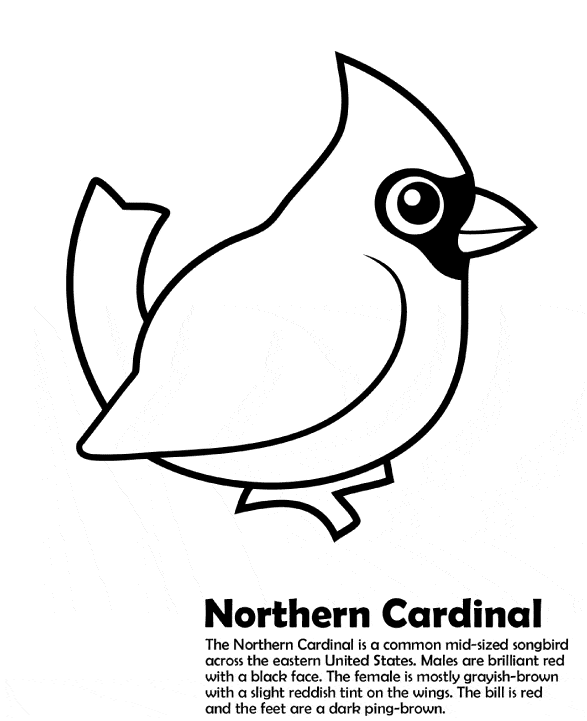 free Northern Cardinal coloring page