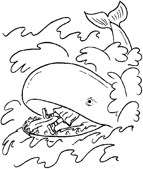 free Northern Right Whale coloring page