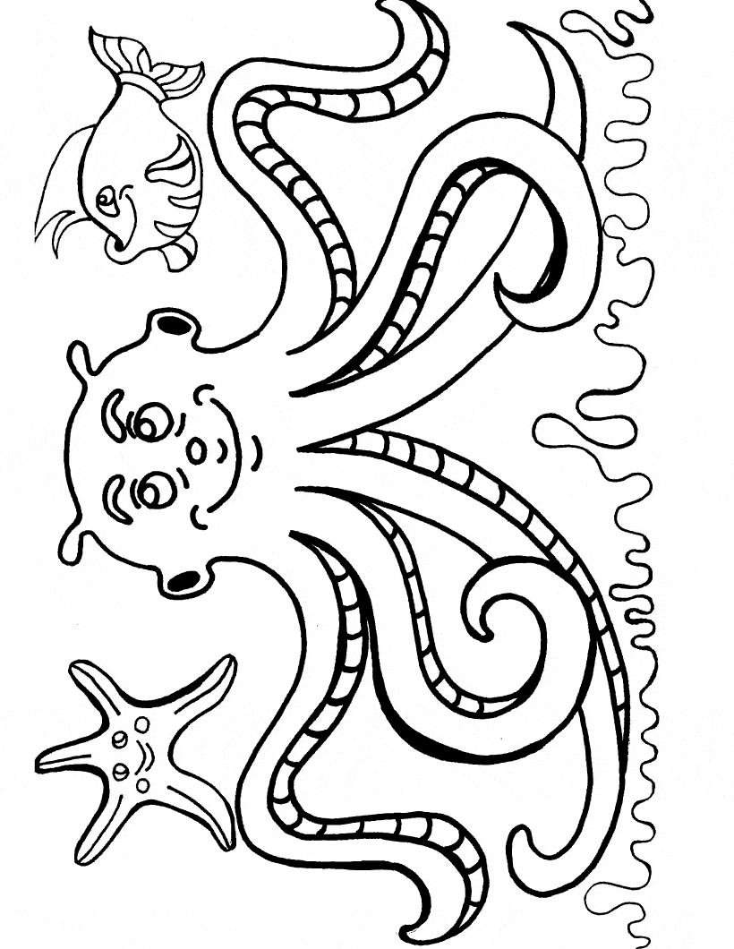 free Octopus coloring color page