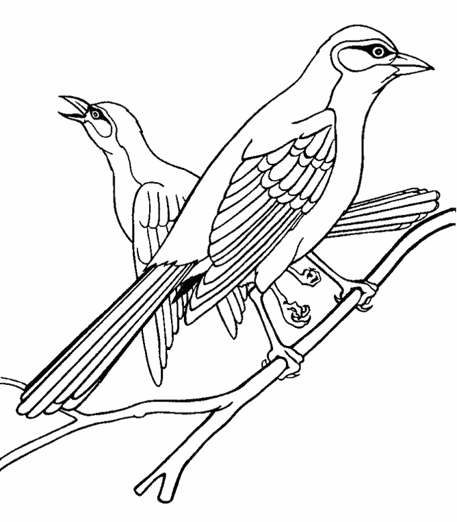 free Oriole coloring page