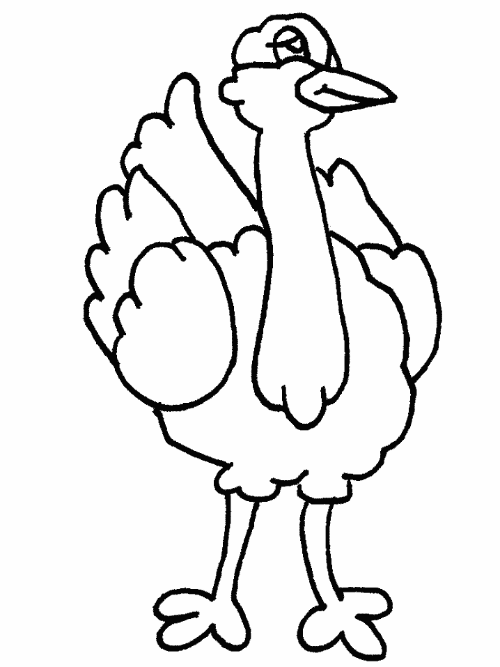 free Ostrich coloring page