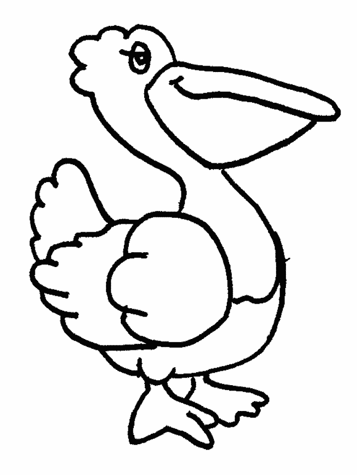 free Pelican coloring page