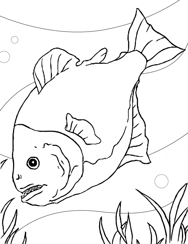 free Piranha coloring page