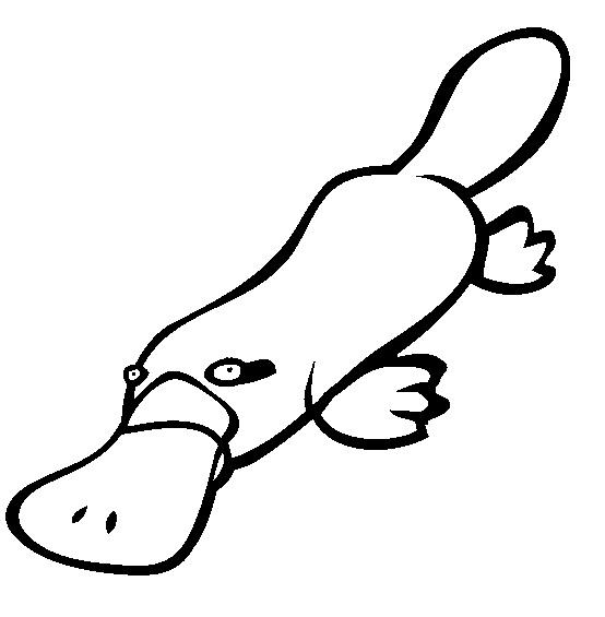 free Platypus coloring page