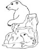 polar bear coloring sheet