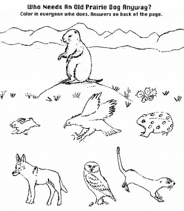 free Prairy Dog coloring page