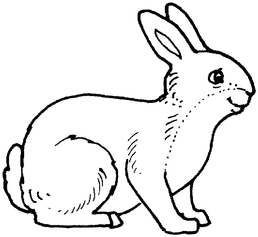 free Rabbit coloring page