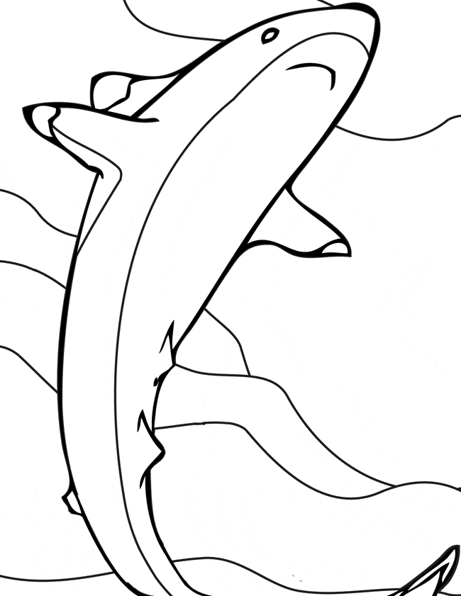 free Reef Shark coloring page