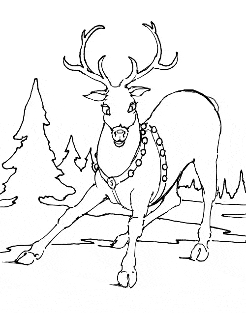 free Reindeer coloring page