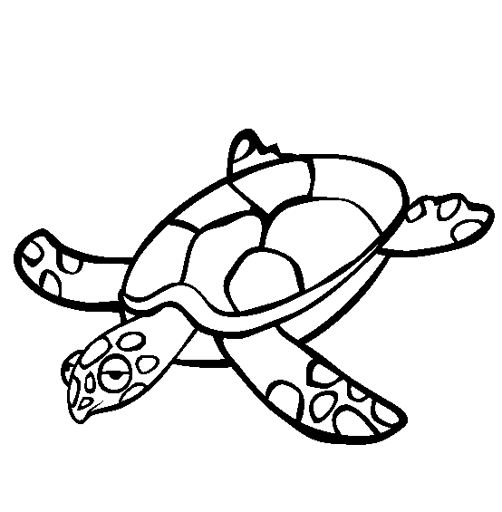 free Sea Turtle coloring page