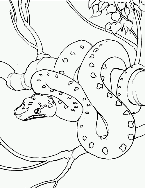 free Snake coloring page