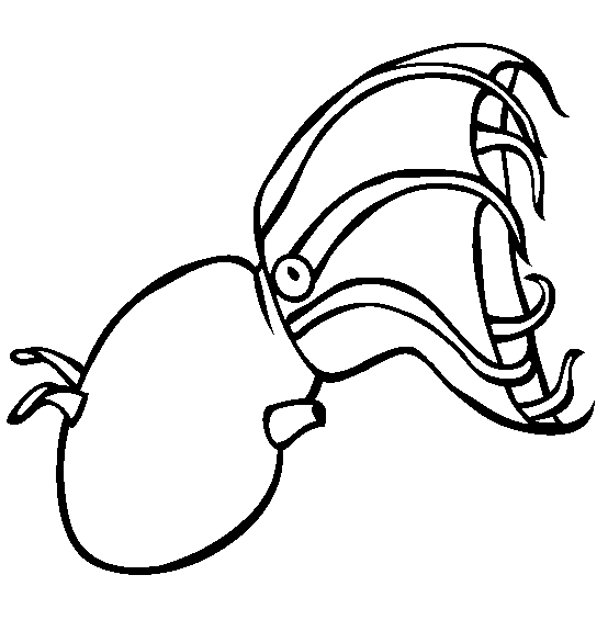 free Squid coloring page