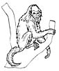 Uakari coloring page