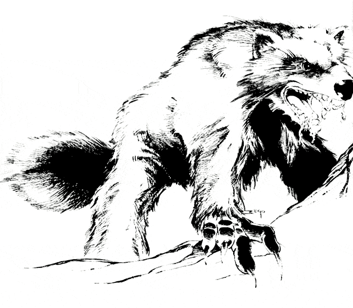 free Wolverine coloring page