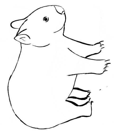 free Wombat coloring page