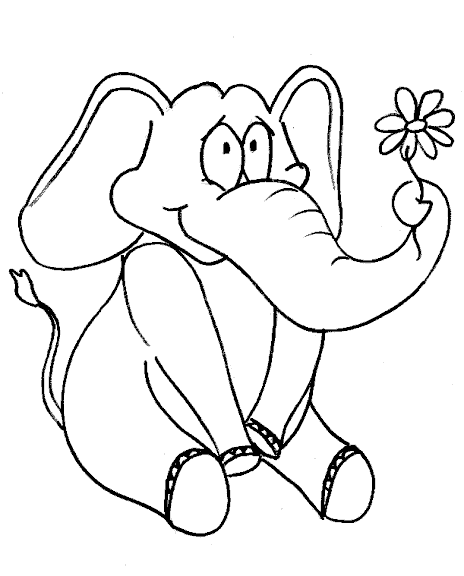 elephant with a flower