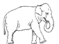 African Elephant colouring