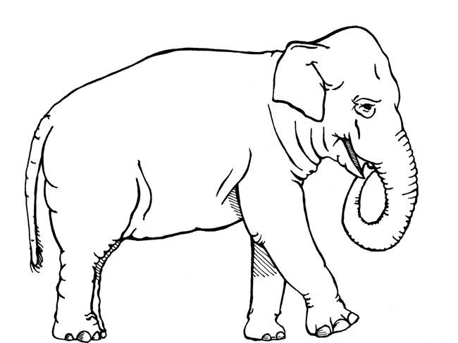 Free printable African Elephant coloing page