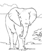 African Elephant coloring sheet