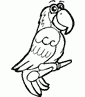 African Grey Parrot coloring page