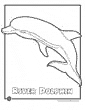 Amazon River Dolphin coloring page