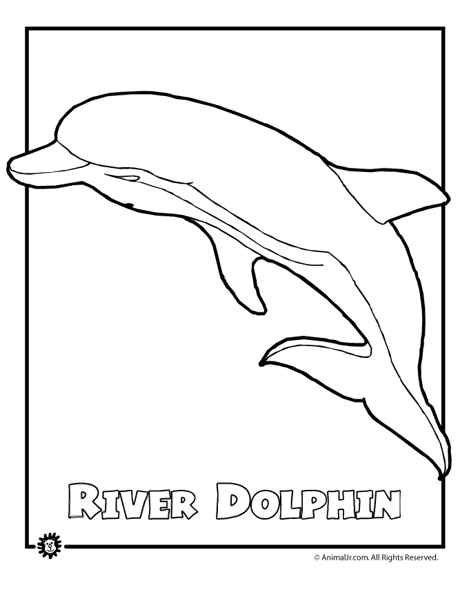 Amazon River Dolphin coloring sheet free printable page