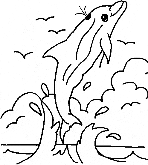 Amazon River Dolphin coloring sheet free printable page