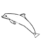 Amazon River Dolphin coloring page