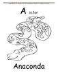 Anaconda coloring page