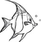 Angelfish coloring page