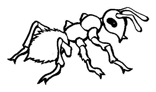 Free printable Ant coloring page sheet picture