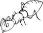 Ant coloring page