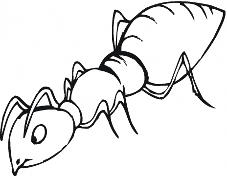 ant coloring page