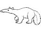 Anteater coloring page