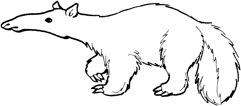 free Anteater coloring for kids sheet page picture