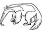 Anteater coloring page