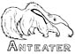 Anteater coloring page