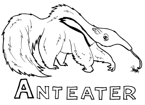 free Anteater coloring for kids sheet page picture