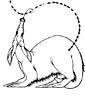 Anteater coloring page