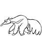 Anteater coloring page