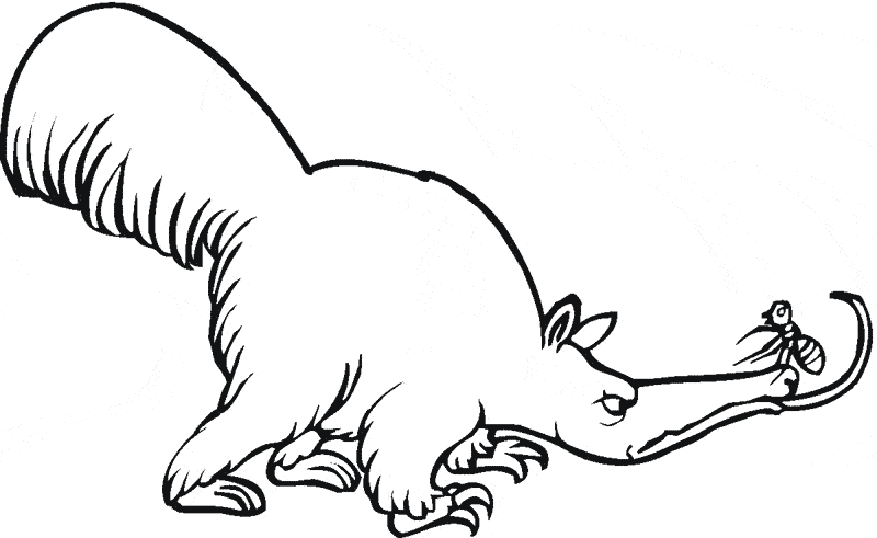 free Anteater coloring for kids sheet page picture