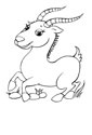 Antelope coloring page