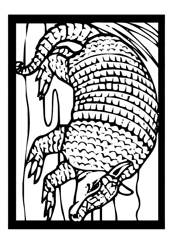 Armadillo coloring printable animal