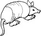 armadillo coloring page