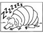 Armadillo coloring page