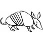 armadillo coloring picture