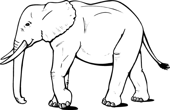 free Asian elephant coloring picture