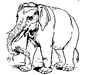 Asian elephant coloring page