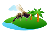 Africanized bee image