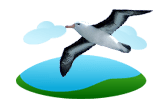 Albatross image